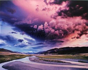 Wonderland: Photographs by Carter Gowl